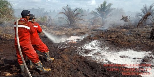 4 Hari padamkan lahan gambut terbakar, 2 personel BPBD PPU jatuh sakit