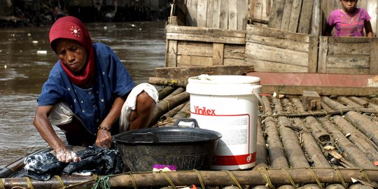 Pemerintah diminta dorong program perhutanan guna pangkas angka kemiskinan