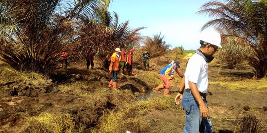 Selama 5 hari, kebakaran menghanguskan 6,7 hektare lahan gambut di Kaltim