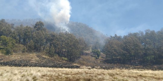 10 Hektare hutan dan sabana di Gunung Buthak hangus terbakar