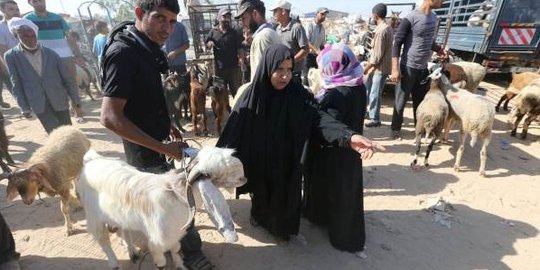 Agar tetap berkurban, warga Gaza pilih membeli kurban dengan cara mencicil