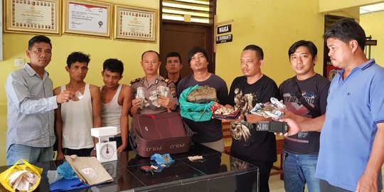 Kakak beradik di Medan pengedar ganja dan sabu diringkus polisi