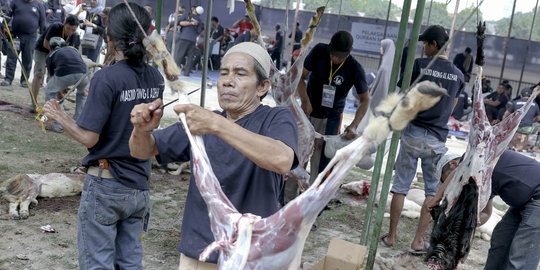 Rayakan Idul Adha, Masjid Agung Al Azhar sembelih ratusan hewan kurban