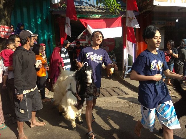 hewan kurban diarak keliling kampung