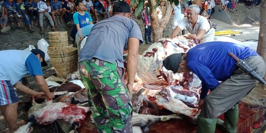Tiga WNA sumbang empat hewan kurban ke Masjid Agung Jawa Tengah