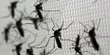 4 Penyebab nyamuk di Indonesia makin banyak dan ganas