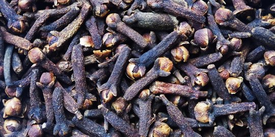 indonesia penghasil rempah-rempah termahal dunia, ini daftarnya