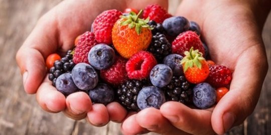 buah beri rev1
