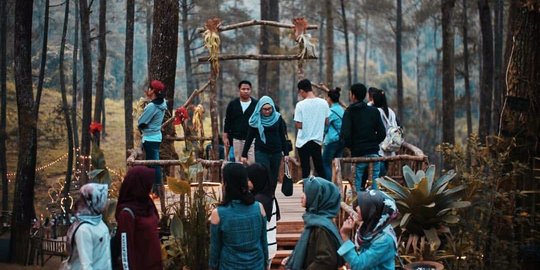 Menpar Arief Yahya: Orchid Forest Cikole keren!