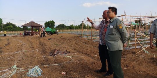 HPS ke-38 di Kalsel momentum perkenalkan lahan tidur jadi pertanian produktif