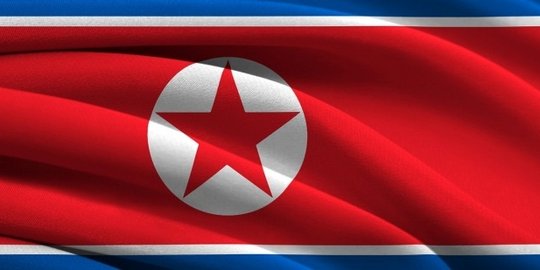 Korut bebaskan turis Jepang atas dasar kemanusiaan