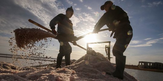 Ketua DPR minta pemerintah jelaskan alasan penambahan impor garam dan gula