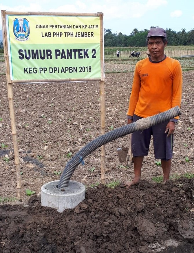 sawah dan pengairan