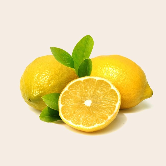 ilustrasi lemon