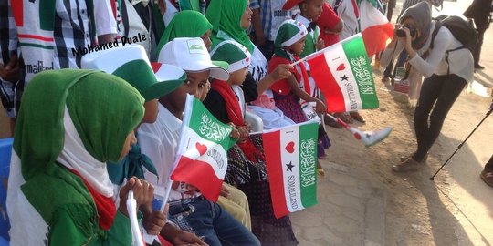 6 negara dengan pengakuan terbatas, ini penyebabnya