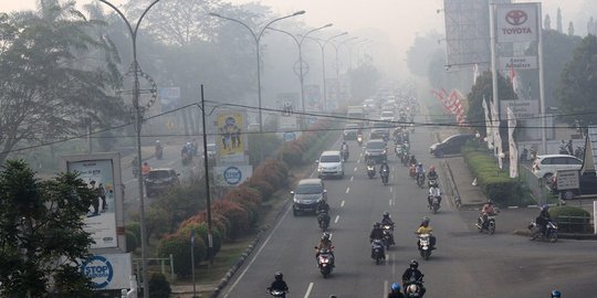 Polda Kalbar tetapkan 35 tersangka kasus kebakaran hutan dan lahan