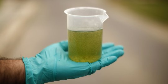 Pengusaha siap penuhi kebutuhan biodiesel hingga tahun depan