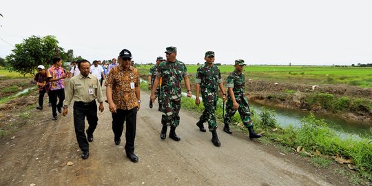 Persiapan maksimal, padi rawa siap panen pada Hari Pangan Sedunia 2018