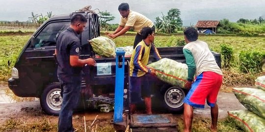 Melalui sistem usaha pertanian, Kementan sukses kembangkan lahan kering di Banten