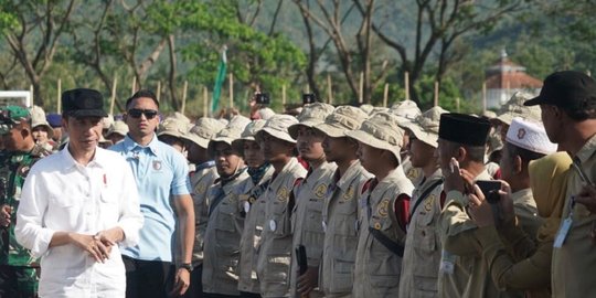 tengah hutan pinus