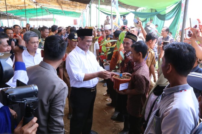 tanam jagung perdana di kabupaten pringsewu