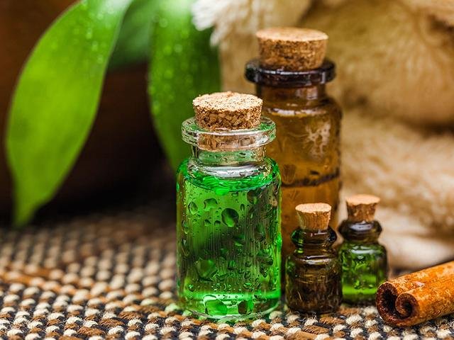 ilustrasi tea tree oil