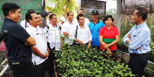 Kementan terus kembangkan lahan pekarangan untuk penuhi kebutuhan pangan keluarga