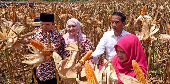 TGB diusulkan masuk Tim Kampanye Nasional Jokowi-Ma'ruf