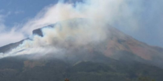 Kebakaran hutan dan lahan Gunung Sindoro, jalur pendakian ditutup