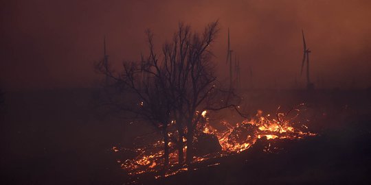 Petugas masih padamkan kebakaran hutan, pendakian Gunung Sindoro ditutup