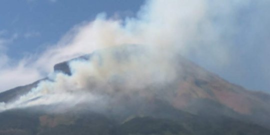 Kebakaran hutan di Gunung Sindoro makin meluas hingga 156 hektare