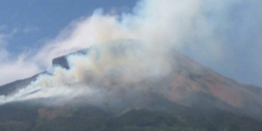 Ratusan hektare hutan di Gunung Sindoro & Sumbing hangus terbakar