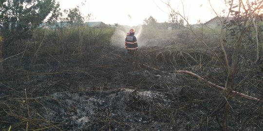 3 Hektare lahan gambut dan semak di Samarinda hangus terbakar