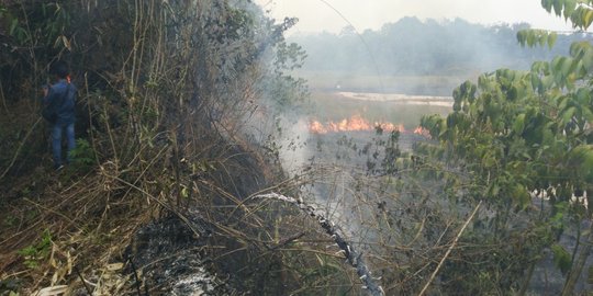 10 Hektare lahan di Samarinda terbakar, warga panik dan bersiap mengungsi