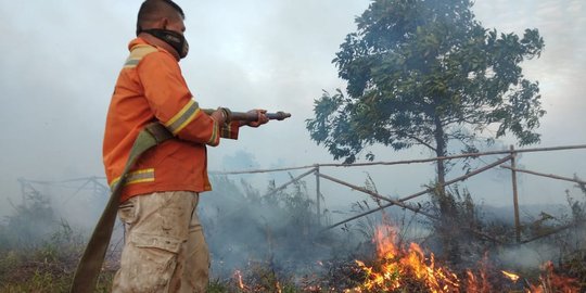 Data terkini BMKG: Titik panas di Sumatera menurun dratis