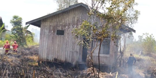 Buka lahan, warga Paser Kaltim alami luka bakar