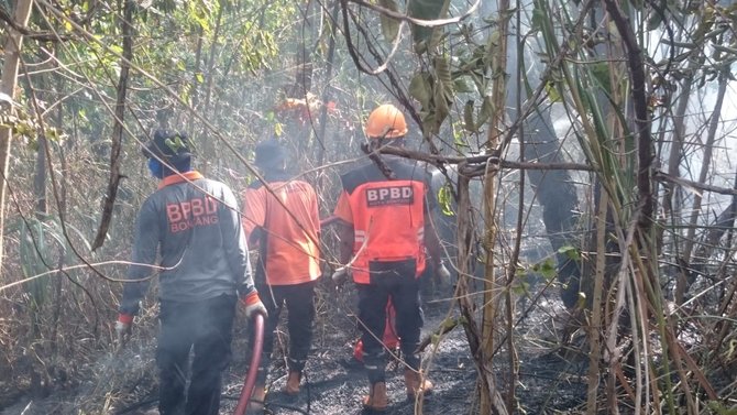 lahan terbakar di bontang