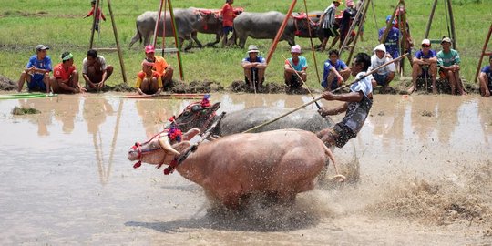 Serunya berkunjung ke Pulau Moyo, Great Escape-nya pesohor dunia