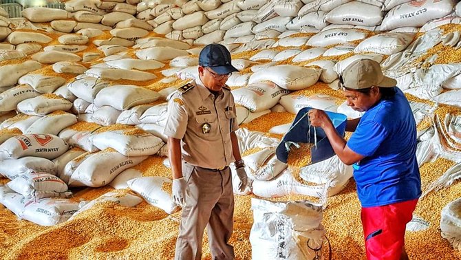 badan karantina pertanian di ampana kabupaten tojo una una