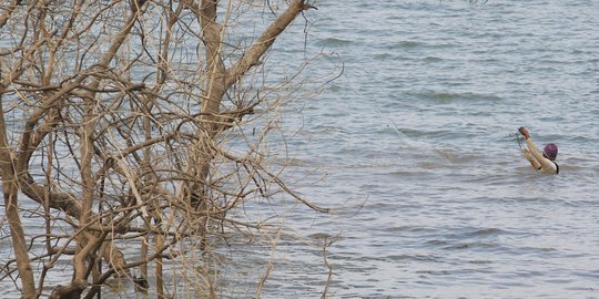 Waduk Jatigede surut dimanfaatkan warga untuk berburu ikan