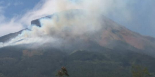 Pembakar hutan kawasan Gunung Sindoro adalah petani yang mau buka lahan