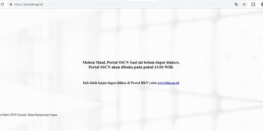 Portal pendaftaran CPNS baru dapat diakses pukul 13.00 WIB