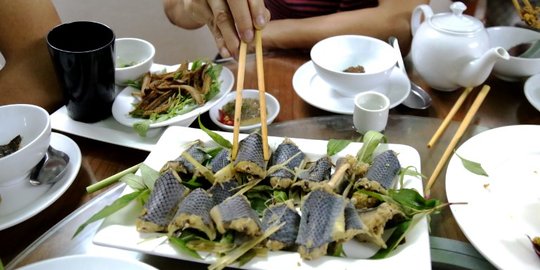 Restoran di Vietnam suguhkan ular menjadi menu utamanya