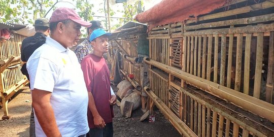 Program Bekerja Kementan beri harapan pengentasan kemiskinan di Brebes