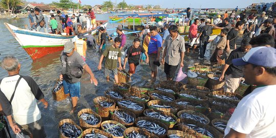 Melimpahnya hasil tangkapan nelayan Sukabumi