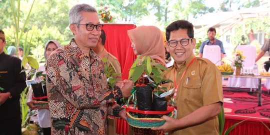 Kementan mulai distribusikan 10 juta benih perkebunan untuk petani