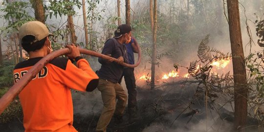 10 Jam terbakar, lahan dan hutan di PPU mulai diberi patok oleh pemilik