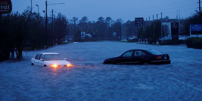 Ikan mati berserakan di jalan pasca surutnya banjir Carolina Utara