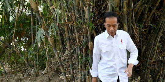 Ini strategi Jokowi hadapi ketidakpastian ekonomi global