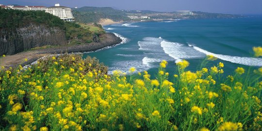 Jeju Island, pulau romantis pilihan untuk bulan madu